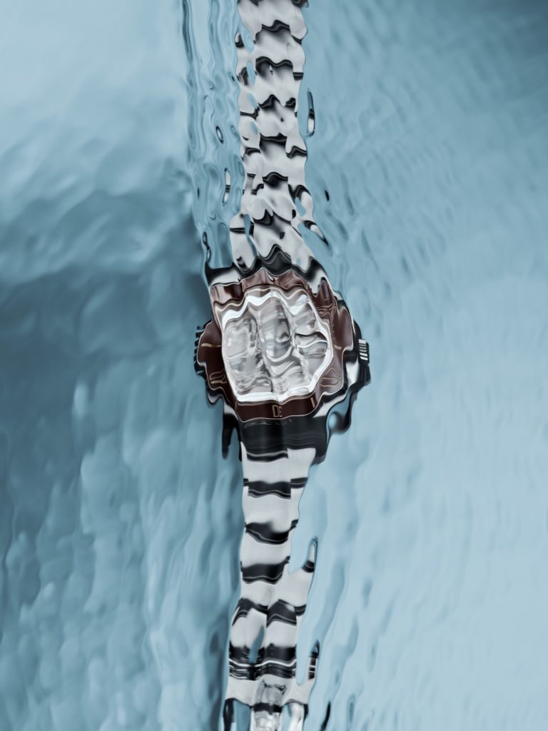 Client @artisansdegeneve DA @maellevuillet_ad Post-production @atelier_oito Camera @fujifilmfrance Light @hensel_visit Equipments @arcaswissusa #BrownIce Project for…